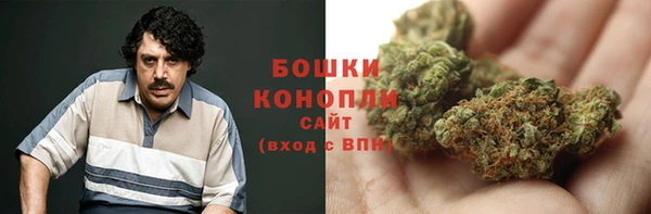 гашик Заводоуковск
